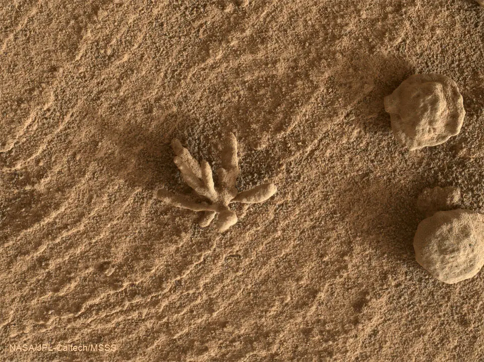 A Flower-Shaped Rock on Mars