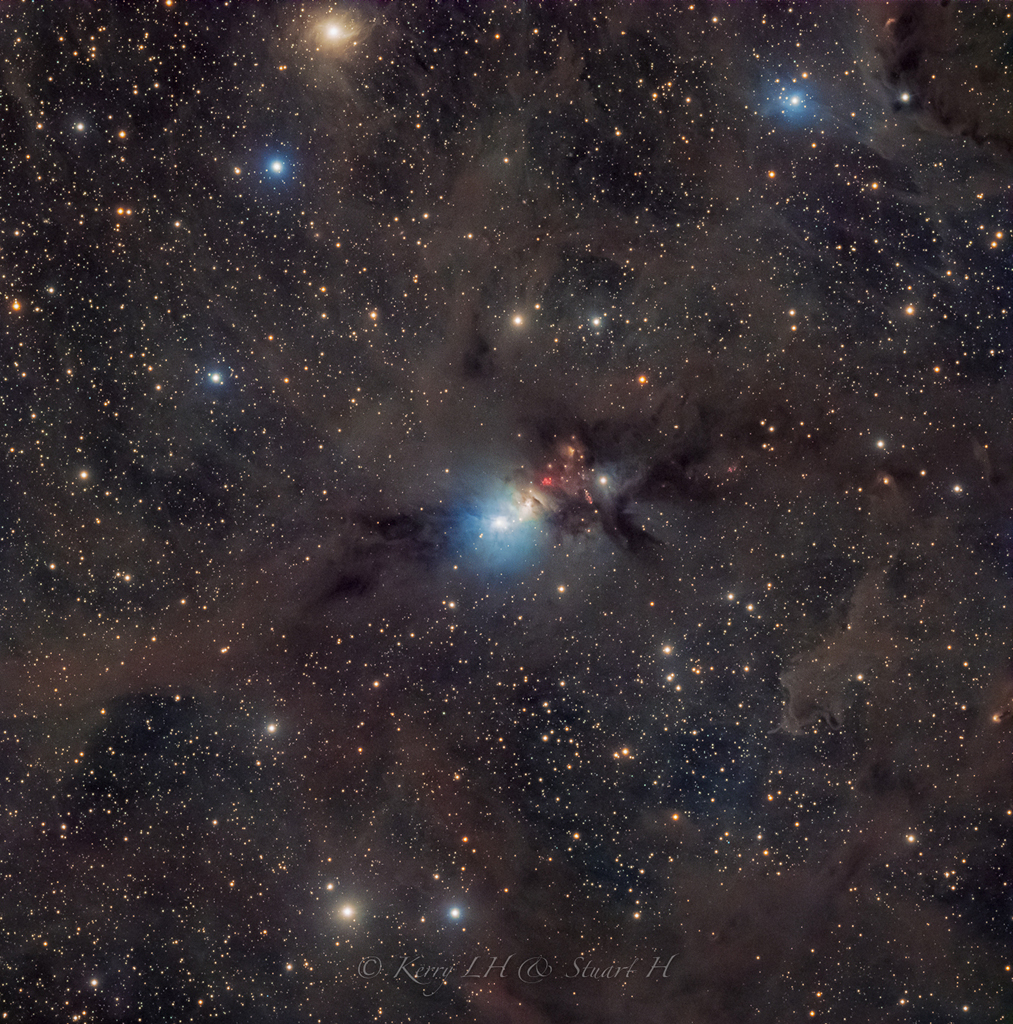Stardust in the Perseus Molecular Cloud