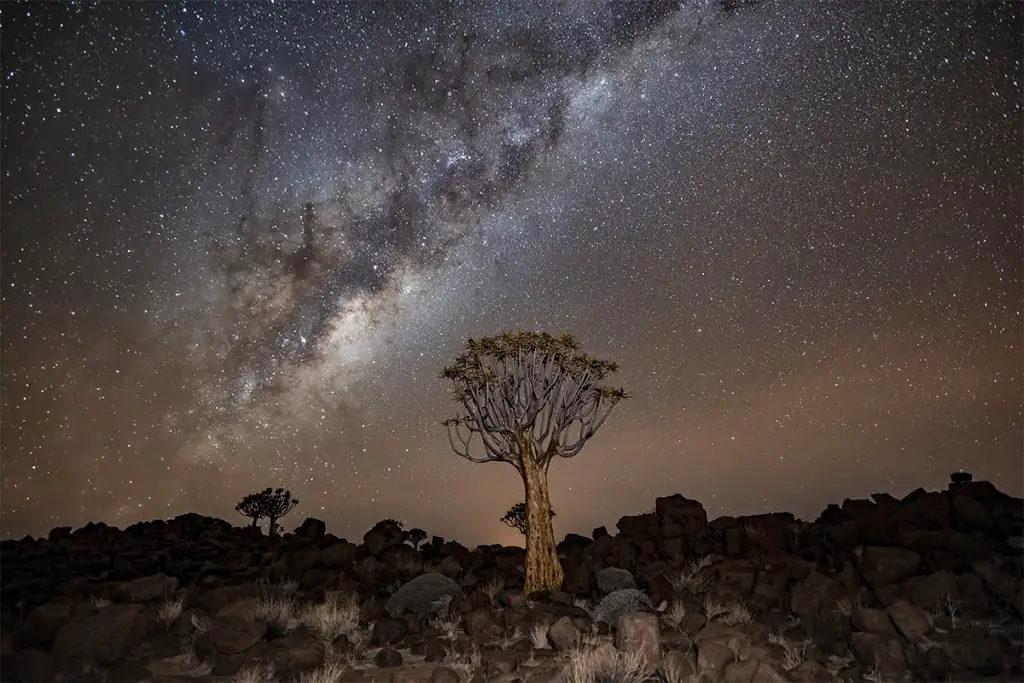 Daily Telescope: A dazzling view of the Milky Way from southern Africa