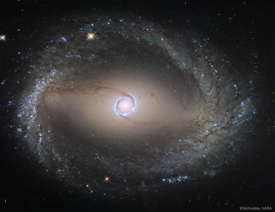 Spiral Galaxy NGC 1512: The Inner Rings