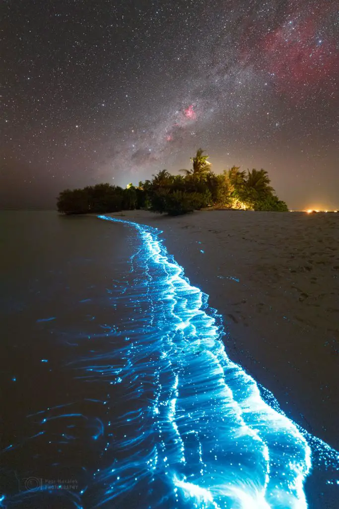 Milky Way over a Turquoise Wonderland