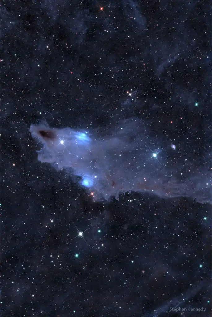 The Shark Nebula
