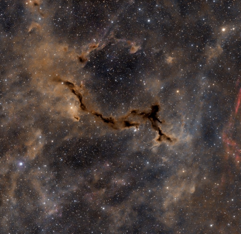 Daily Telescope: Is that a seahorse or something more sinister in the sky?
