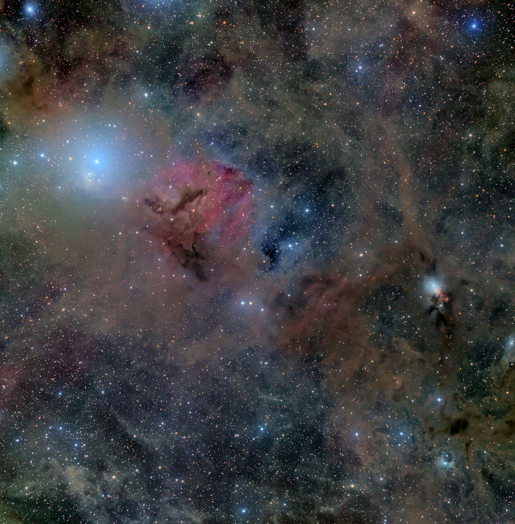 Stardust in Perseus
