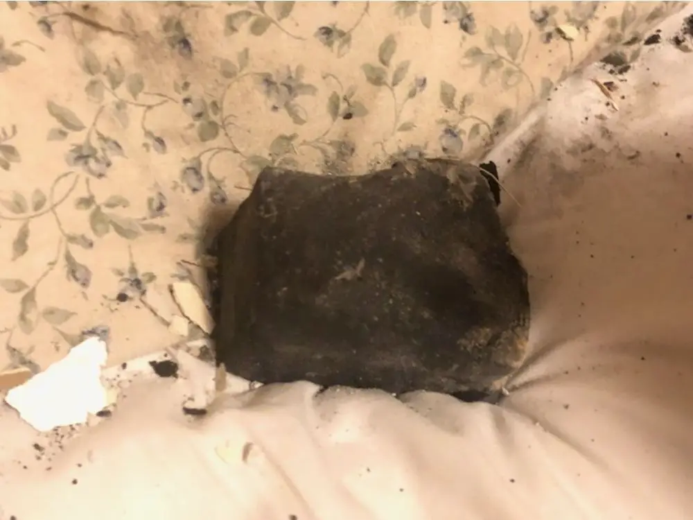 Meteorite crash-lands in woman’s bed in Canada