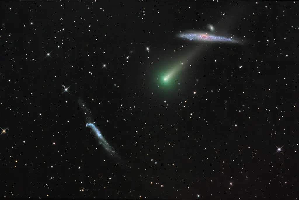 Comet Leonard and the Whale Galaxy