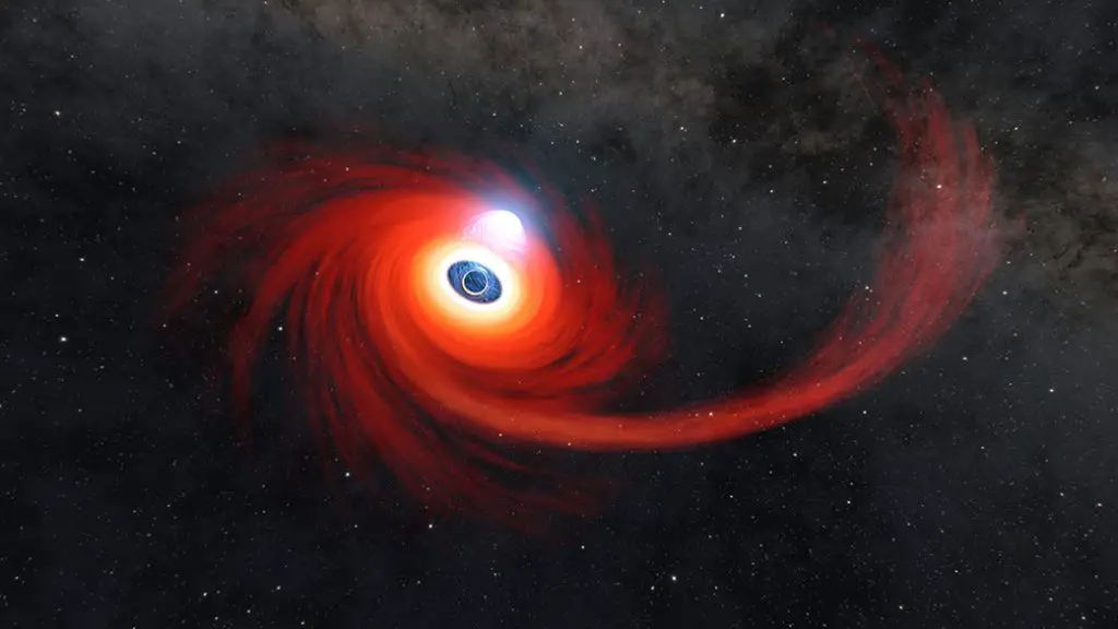 Astronomers witness unprecedented corona formation, evolution around black hole
